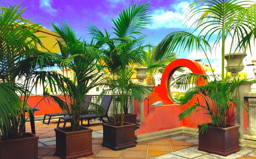 Rok Plaza (Adults Only) Apartment Alcala  Room photo